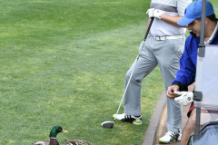 NCUCA_20190415-Golf-060