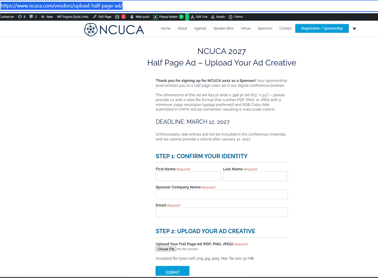 Screenshot 32. Review the half-page advertisement specifications